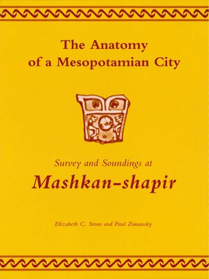 cover image of The Anatomy of a Mesopotamian City